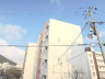 2021年1月撮影 2021年1月撮影